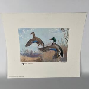 Pennsylvania Waterfowl Management Stamp Print Mallards 1985 #2235/7380